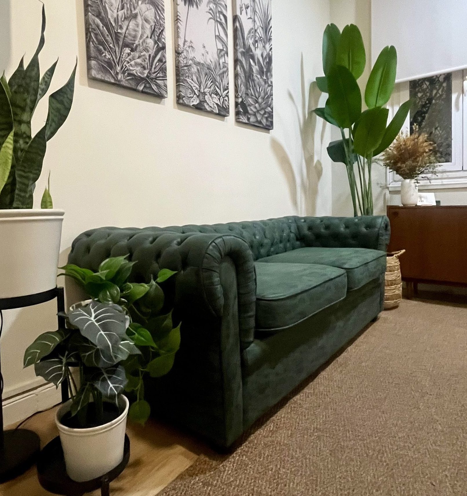 Terapia Psicología Clínica TLP